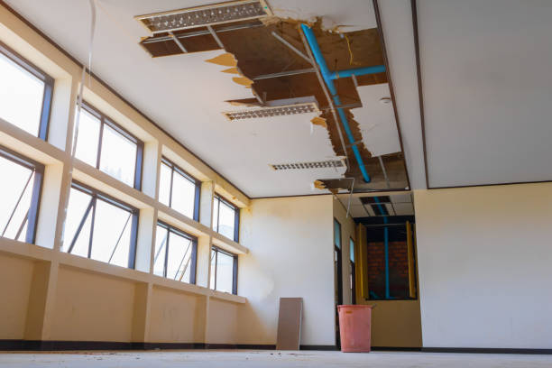 Best 24/7 water damage repair  in Somerset, NJ