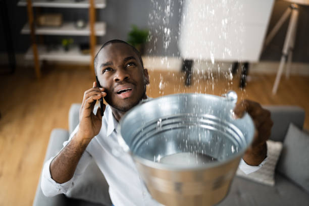 Best 24-hour water damage restoration  in Somerset, NJ