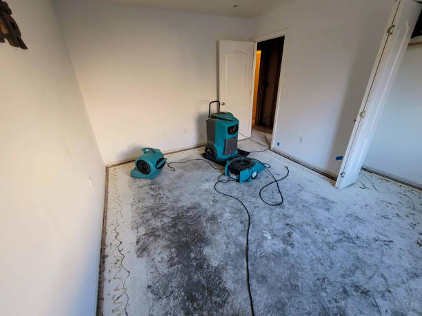 Best Residential water damage restoration  in Somerset, NJ