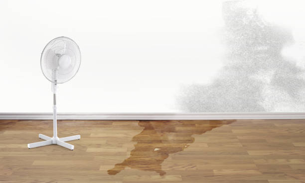 Best Water damage restoration near me  in Somerset, NJ
