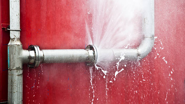 Best Mold removal after water damage  in Somerset, NJ